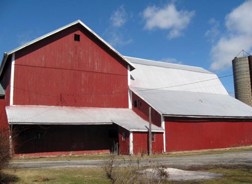Property photo 10 - 127 Acres Offered in 4 Tracts